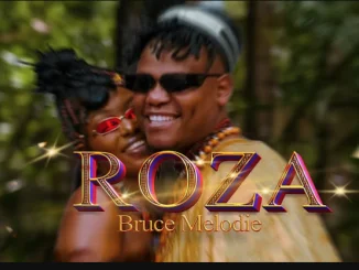 Baq by Bruce Melodie, Roza & Sho ft.Unless