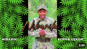 Nibariki by koppa Gekon